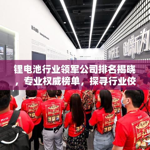 锂电池行业领军公司排名揭晓，专业权威榜单，探寻行业佼佼者