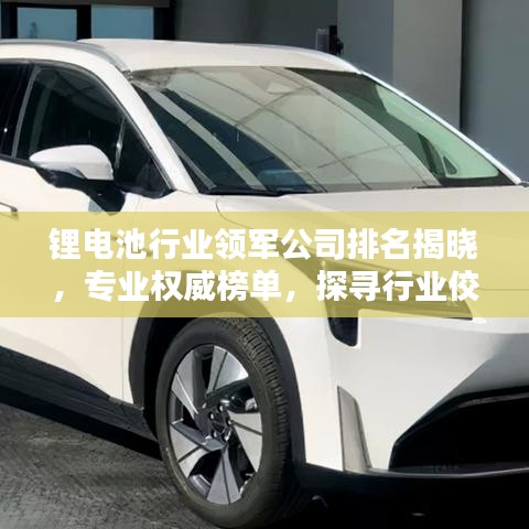 锂电池行业领军公司排名揭晓,专业权威榜单,探寻行业佼佼者