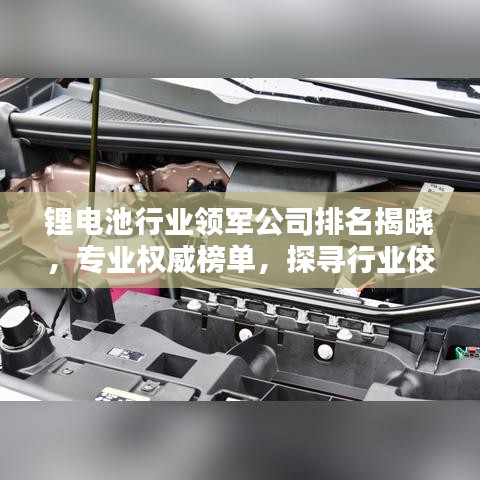 锂电池行业领军公司排名揭晓,专业权威榜单,探寻行业佼佼者