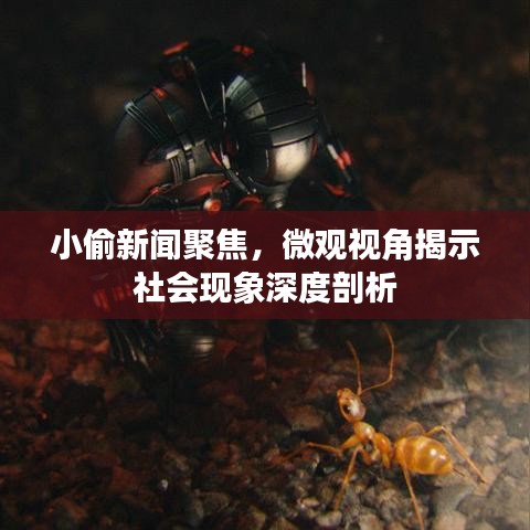 小偷新闻聚焦，微观视角揭示社会现象深度剖析