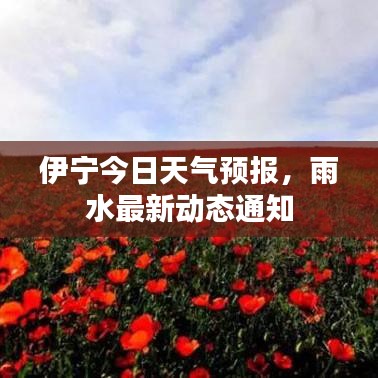 伊宁今日天气预报，雨水最新动态通知