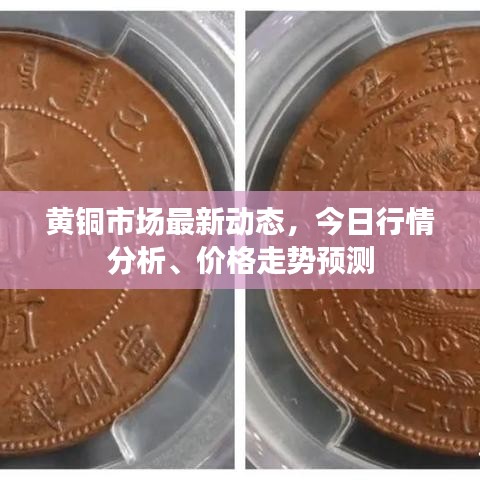 黄铜市场最新动态，今日行情分析、价格走势预测