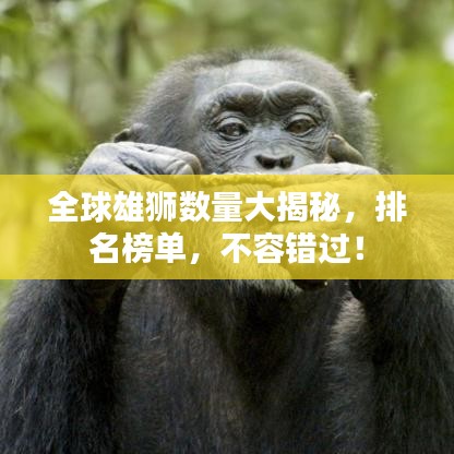 全球雄狮数量大揭秘，排名榜单，不容错过！