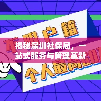 揭秘深圳社保局，一站式服务与管理革新