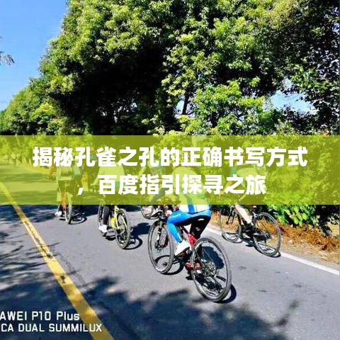 揭秘孔雀之孔的正确书写方式，百度指引探寻之旅