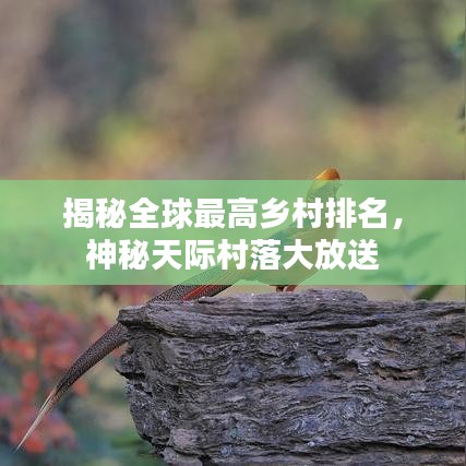 揭秘全球最高乡村排名，神秘天际村落大放送