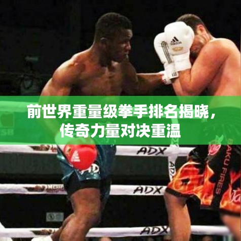 去就之分 第8页