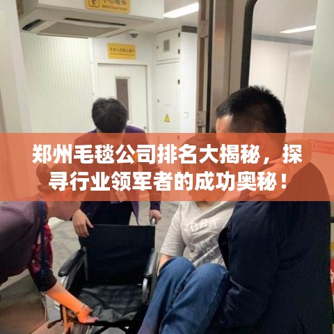 郑州毛毯公司排名大揭秘，探寻行业领军者的成功奥秘！