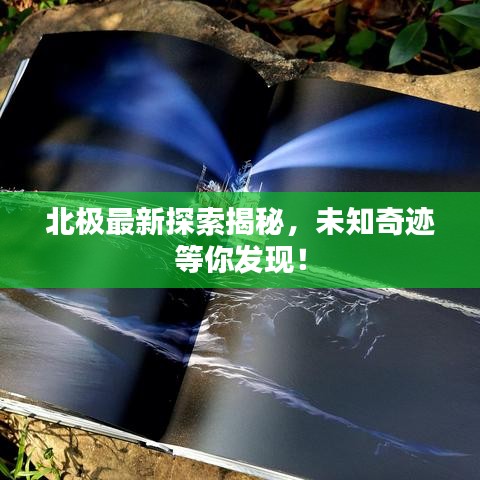 北极最新探索揭秘，未知奇迹等你发现！