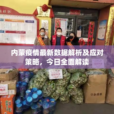 内蒙疫情最新数据解析及应对策略，今日全面解读