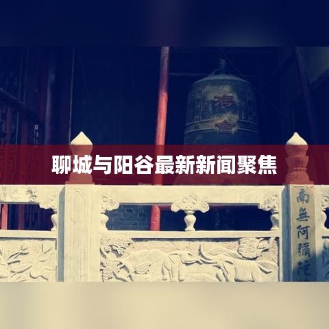 聊城与阳谷最新新闻聚焦