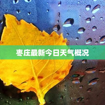 枣庄最新今日天气概况