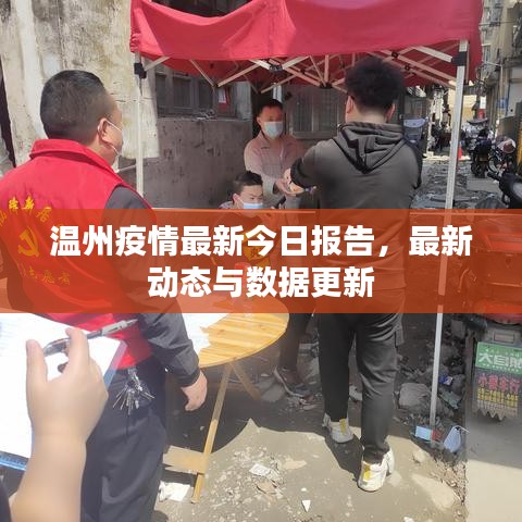 温州疫情最新今日报告，最新动态与数据更新