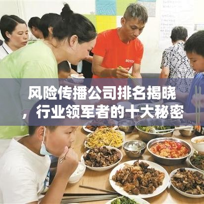 风险传播公司排名揭晓，行业领军者的十大秘密武器榜单！