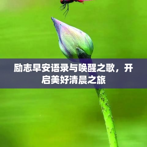励志早安语录与唤醒之歌,开启美好清晨之旅