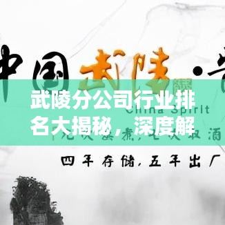 武陵分公司行业排名大揭秘，深度解析其影响力与地位！