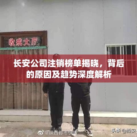 长安公司注销榜单揭晓，背后的原因及趋势深度解析