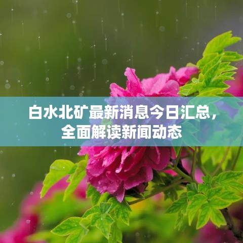 白水北矿最新消息今日汇总，全面解读新闻动态
