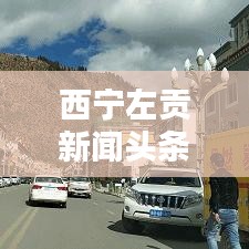 西宁左贡新闻头条视频，城市新动向揭秘