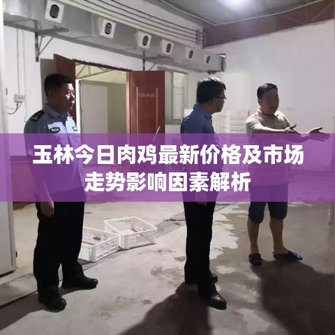 玉林今日肉鸡最新价格及市场走势影响因素解析