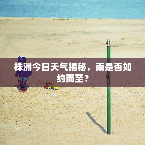 株洲今日天气揭秘，雨是否如约而至？