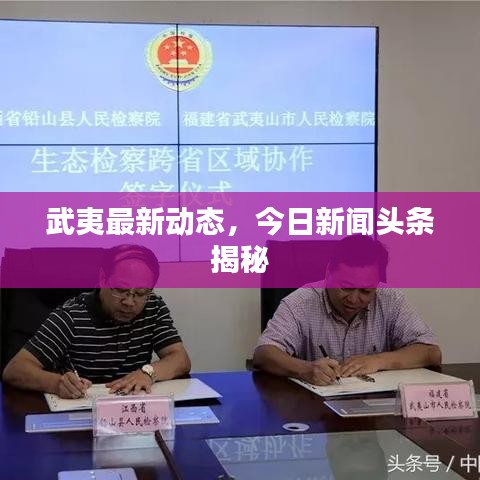 武夷最新动态，今日新闻头条揭秘