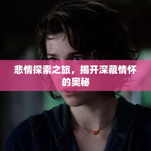 悲情探索之旅，揭开深藏情怀的奥秘