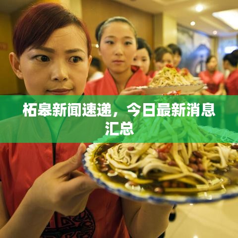 柘皋新闻速递，今日最新消息汇总