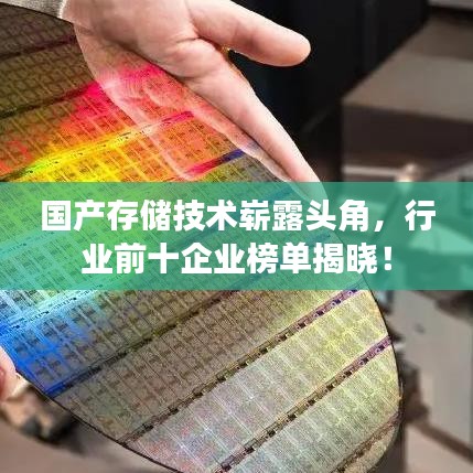国产存储技术崭露头角，行业前十企业榜单揭晓！