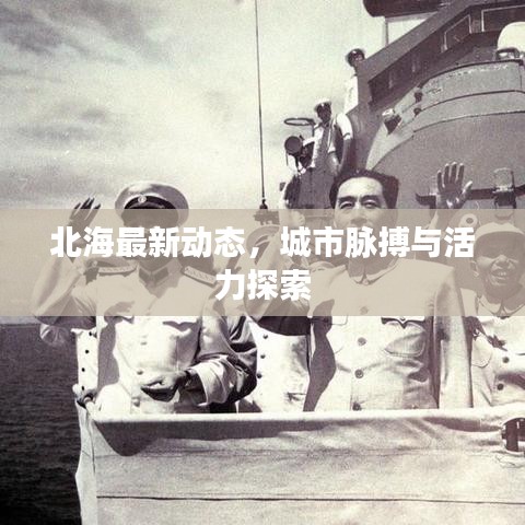 北海最新动态,城市脉搏与活力探索