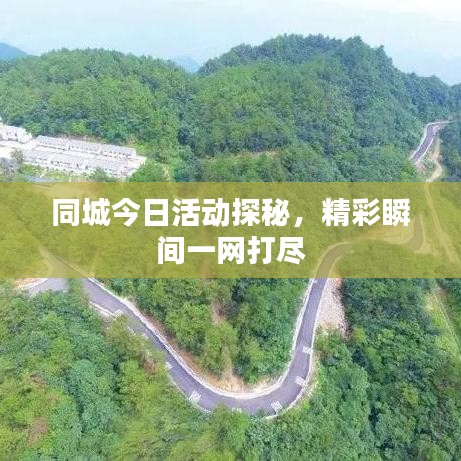 同城今日活动探秘，精彩瞬间一网打尽