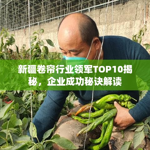 新疆卷帘行业领军TOP10揭秘，企业成功秘诀解读