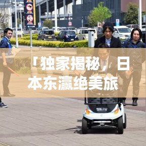 「独家揭秘，日本东瀛绝美旅游攻略，开启你的梦幻之旅」