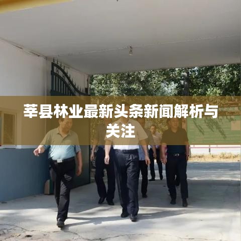 莘县林业最新头条新闻解析与关注