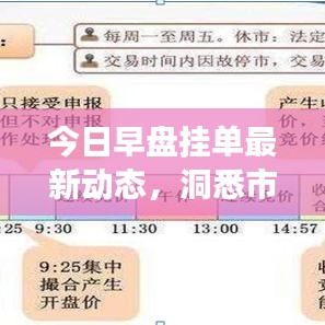 今日早盘挂单最新动态,洞悉市场脉动,投资先机一手掌握
