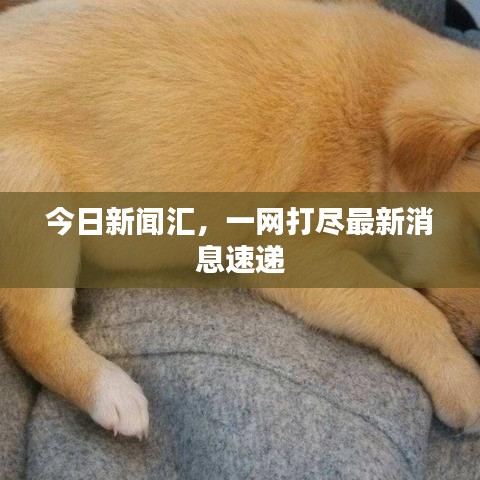 今日新闻汇,一网打尽最新消息速递