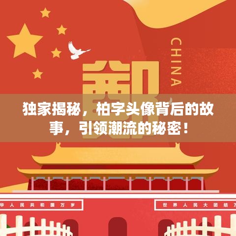 独家揭秘，柏字头像背后的故事，引领潮流的秘密！