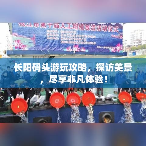 长阳码头游玩攻略，探访美景，尽享非凡体验！