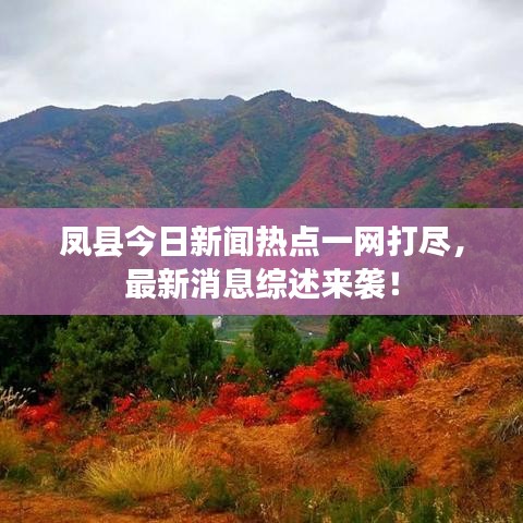 凤县今日新闻热点一网打尽，最新消息综述来袭！