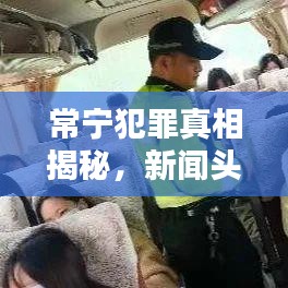 常宁犯罪真相揭秘，新闻头条下的犯罪背后与社会责任探究