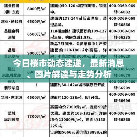 今日楼市动态速递，最新消息、图片解读与走势分析
