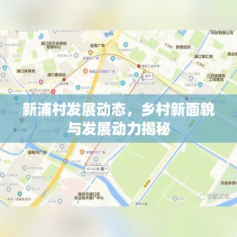 新浦村发展动态，乡村新面貌与发展动力揭秘
