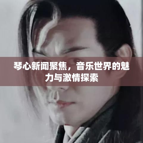 琴心新闻聚焦，音乐世界的魅力与激情探索