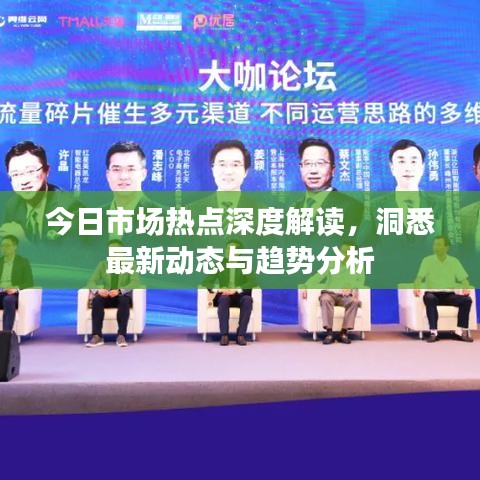 今日市场热点深度解读，洞悉最新动态与趋势分析