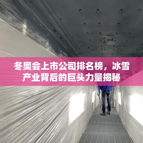 冬奥会上市公司排名榜，冰雪产业背后的巨头力量揭秘
