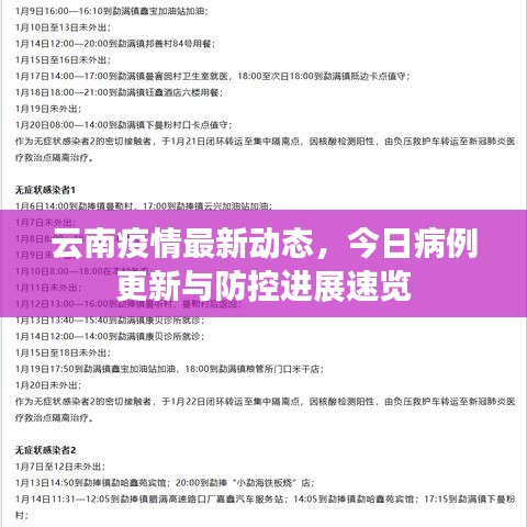 云南疫情最新动态，今日病例更新与防控进展速览