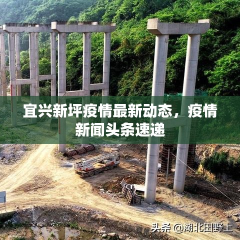 宜兴新坪疫情最新动态,疫情新闻头条速递