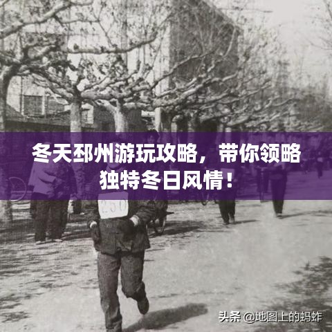 冬天邳州游玩攻略，带你领略独特冬日风情！
