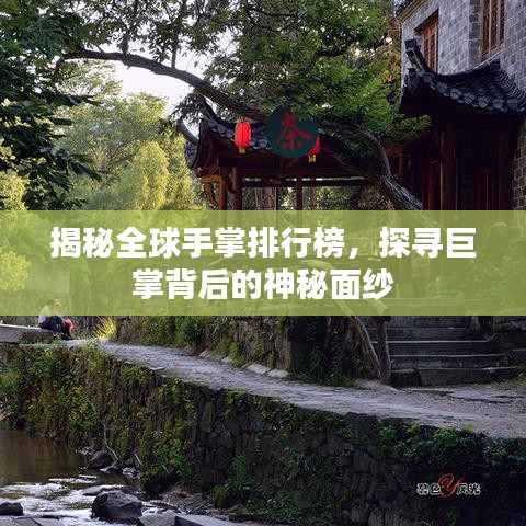 揭秘全球手掌排行榜，探寻巨掌背后的神秘面纱