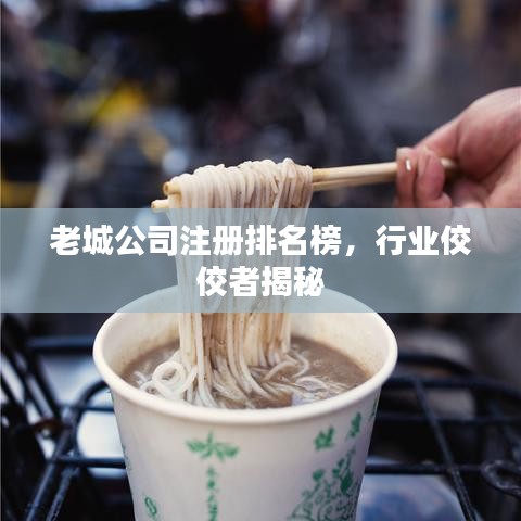 老城公司注册排名榜，行业佼佼者揭秘